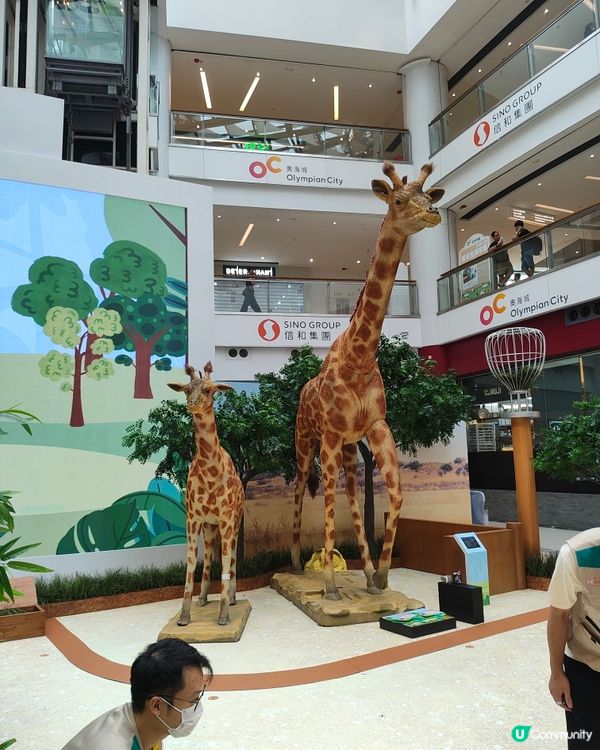 🐘見🐼習🦒護🦘理🦛員🐨