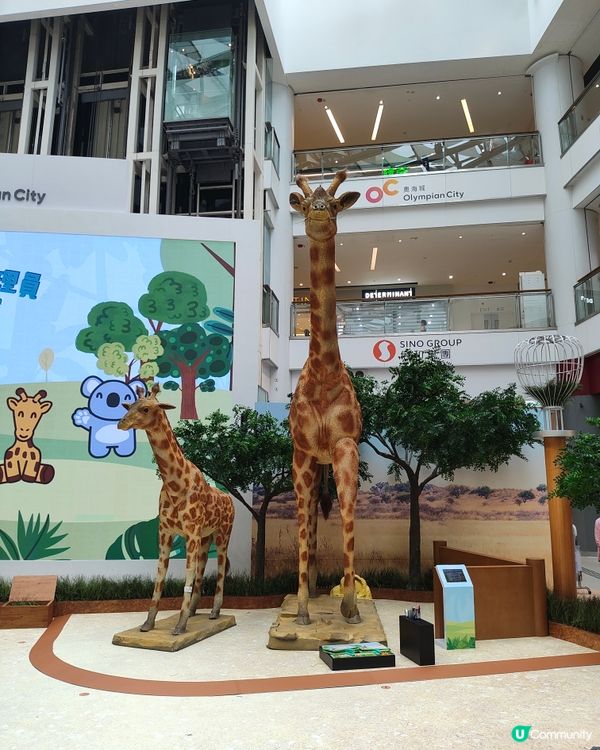 🐘見🐼習🦒護🦘理🦛員🐨