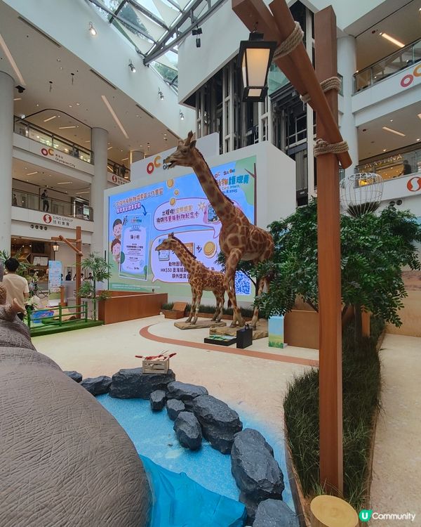 🐘見🐼習🦒護🦘理🦛員🐨