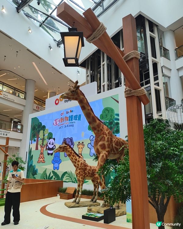 🐘見🐼習🦒護🦘理🦛員🐨