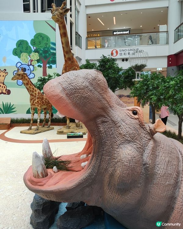 🐘見🐼習🦒護🦘理🦛員🐨