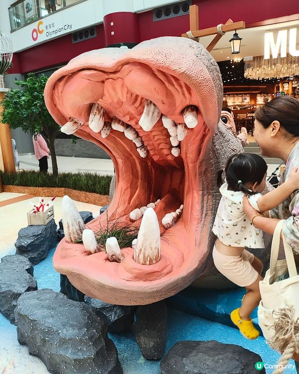 🐘見🐼習🦒護🦘理🦛員🐨