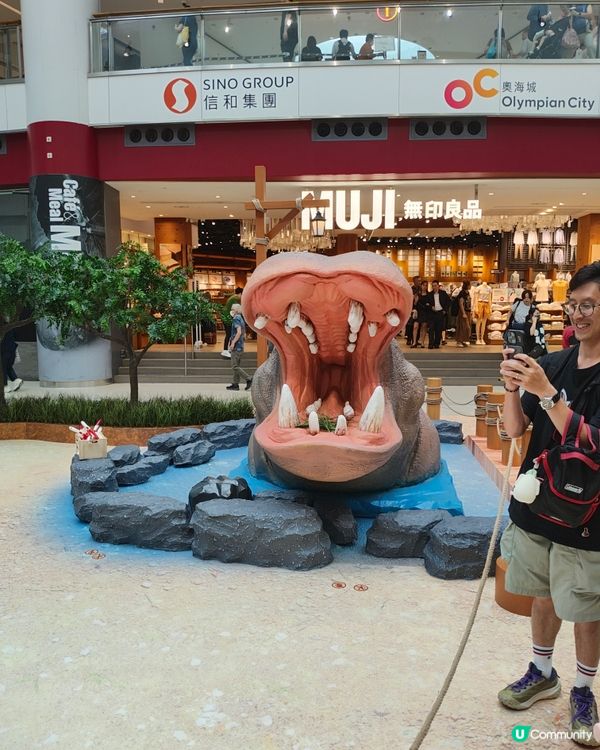 🐘見🐼習🦒護🦘理🦛員🐨