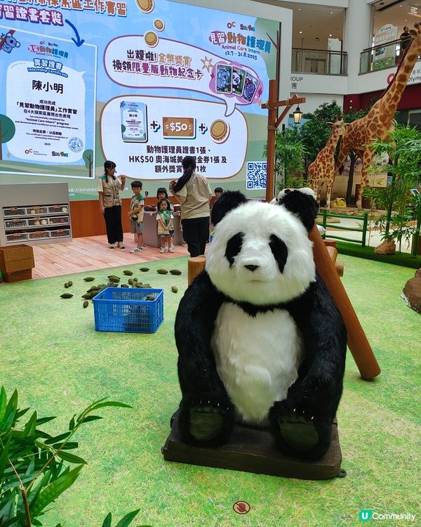 🐘見🐼習🦒護🦘理🦛員🐨