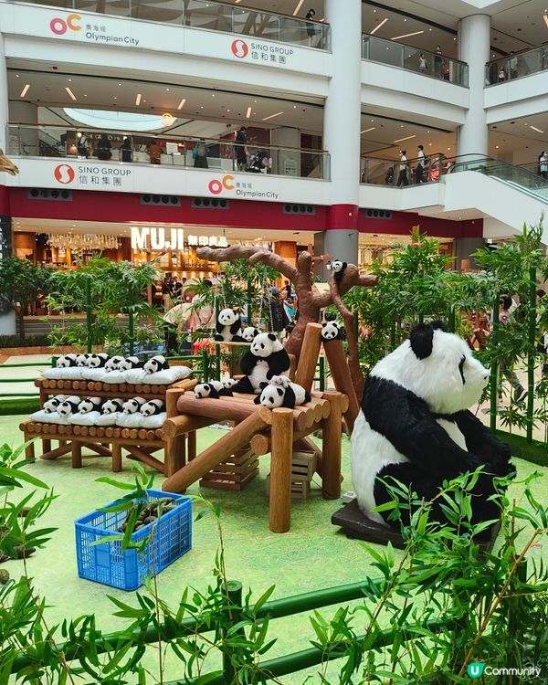 🐘見🐼習🦒護🦘理🦛員🐨