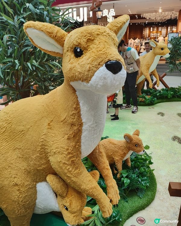 🐘見🐼習🦒護🦘理🦛員🐨