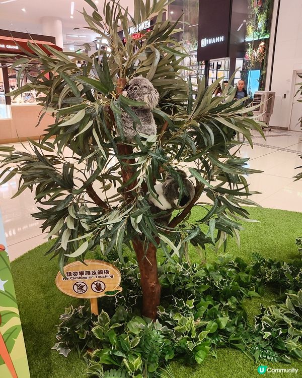 🐘見🐼習🦒護🦘理🦛員🐨