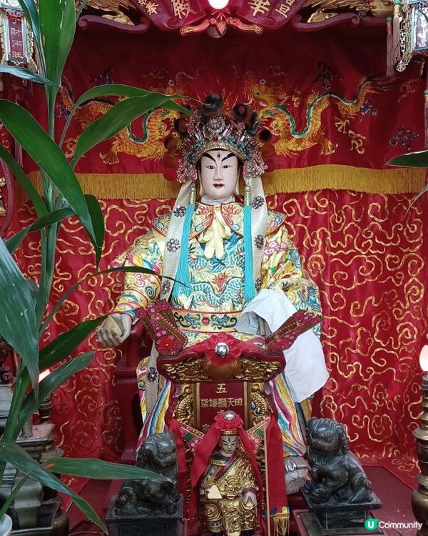 九運乙巳火運年拜華光先師