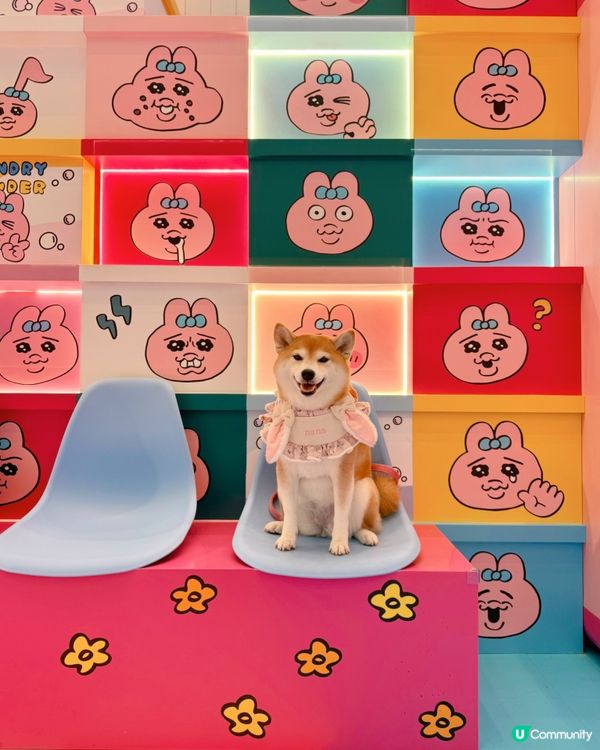 夏日泡泡Laundry Party