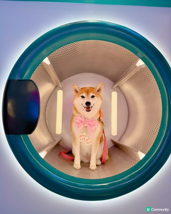 夏日泡泡Laundry Party
