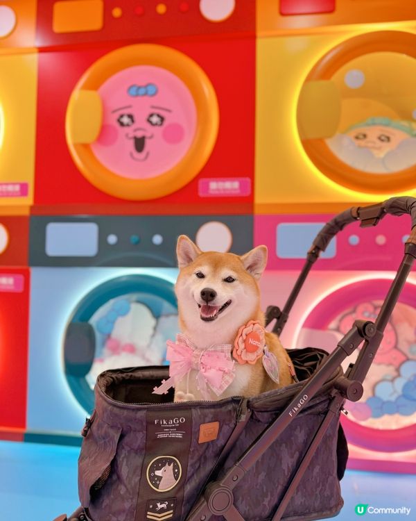 夏日泡泡Laundry Party
