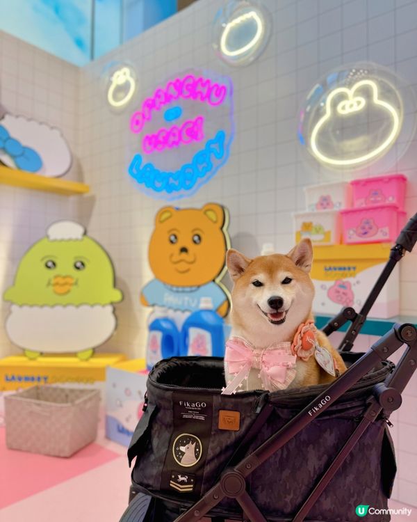 夏日泡泡Laundry Party