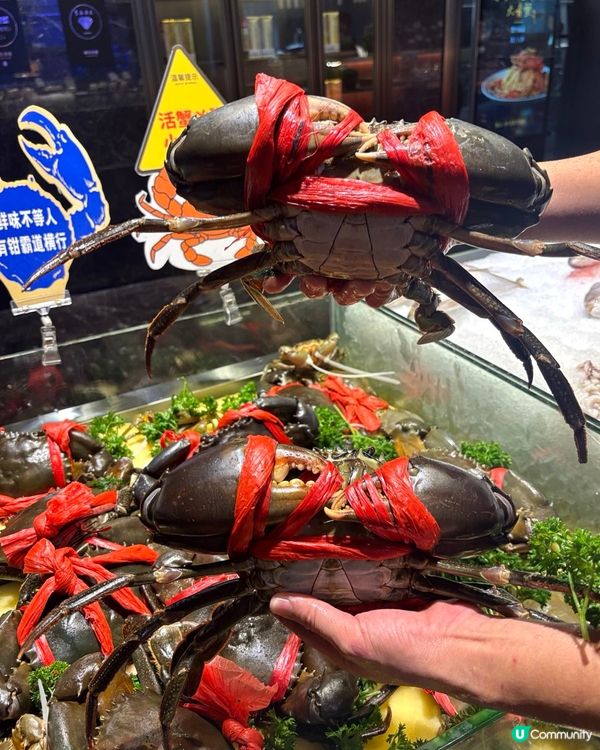 錦堂春想。廣州粵菜～錦堂春想南山店秋鮮首秀