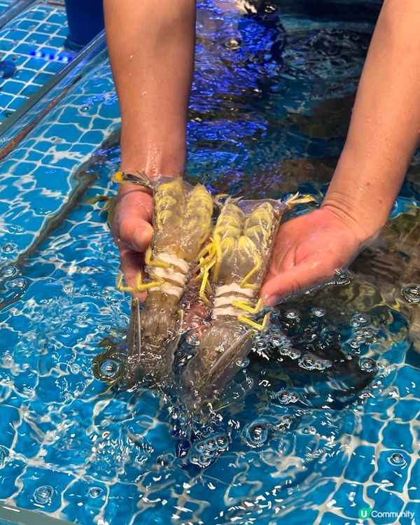 錦堂春想。廣州粵菜～錦堂春想南山店秋鮮首秀