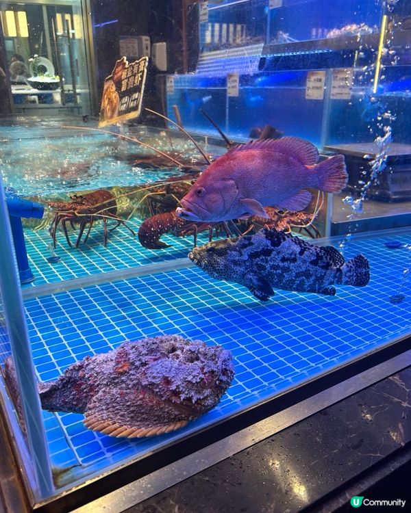 錦堂春想。廣州粵菜～錦堂春想南山店秋鮮首秀