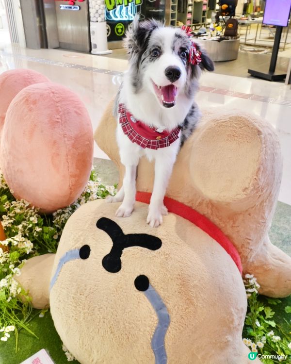 超可愛線條狗佈置