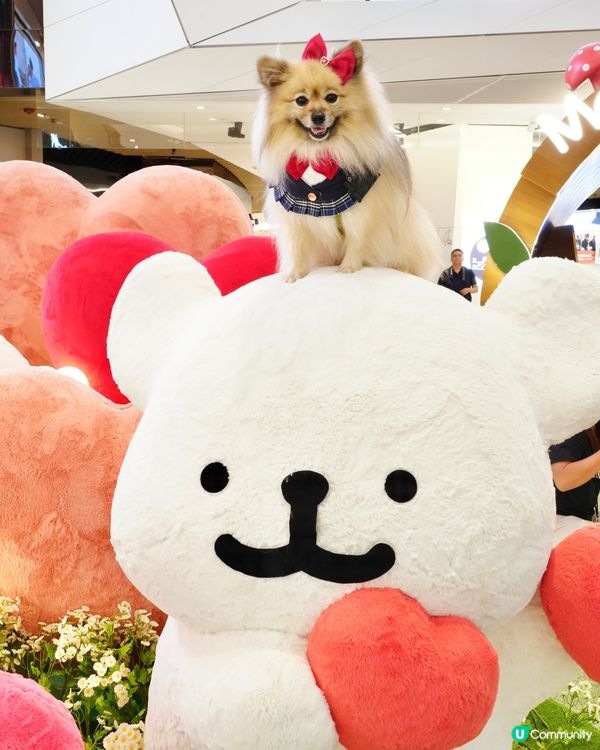 超可愛線條狗佈置