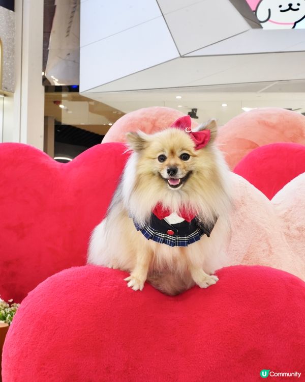 超可愛線條狗佈置