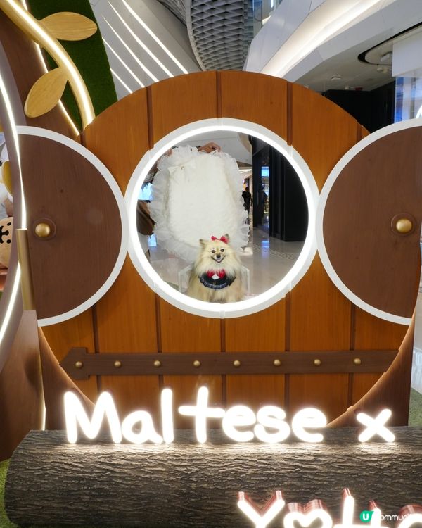 超可愛線條狗佈置