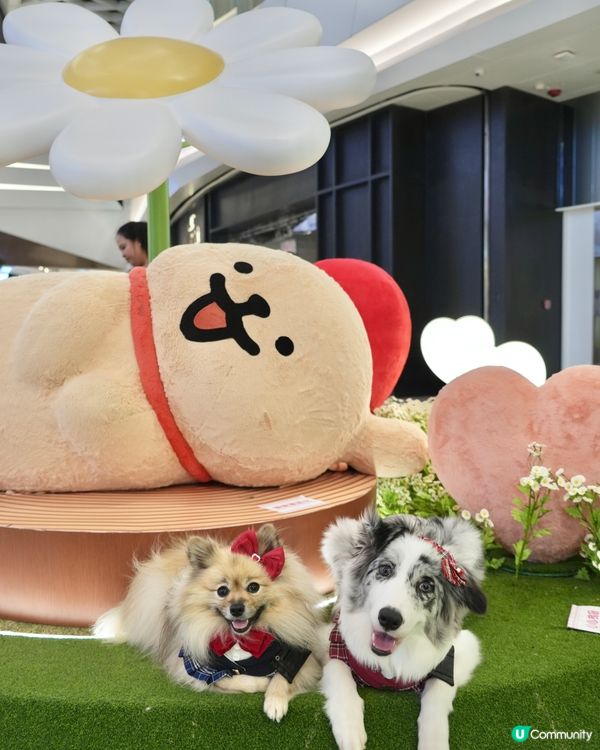 超可愛線條狗佈置