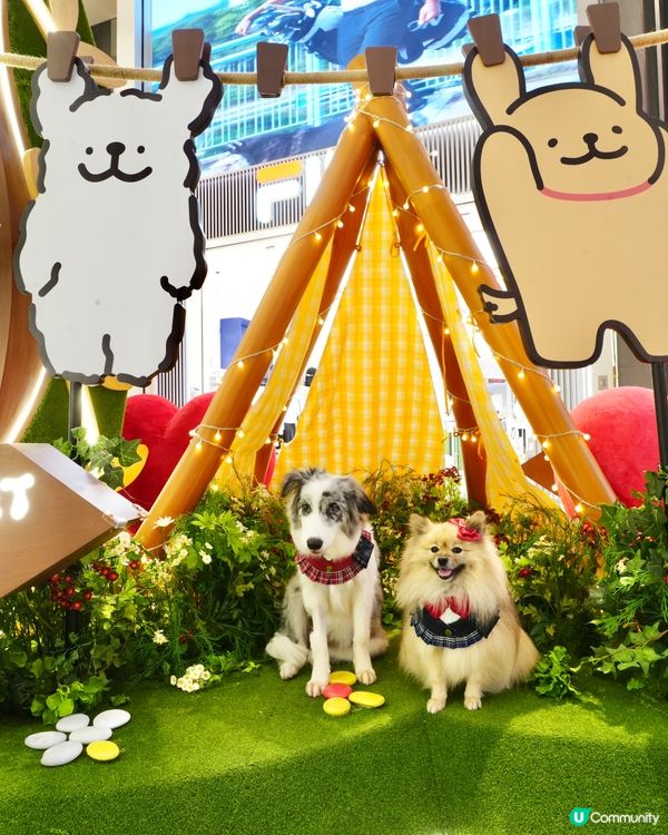 超可愛線條狗佈置