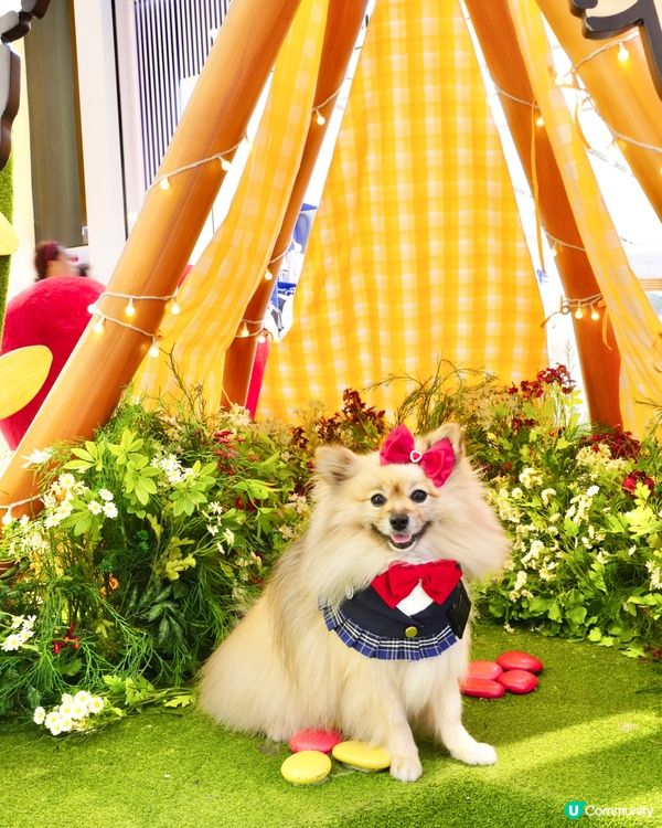 超可愛線條狗佈置