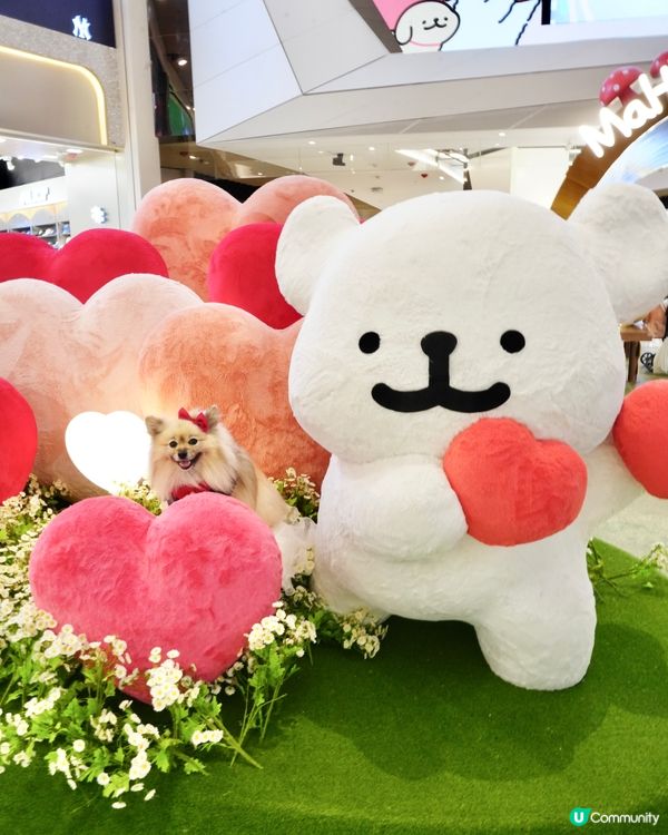 超可愛線條狗佈置