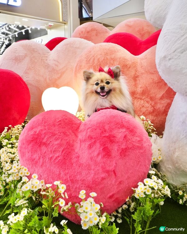 超可愛線條狗佈置