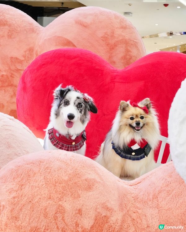 超可愛線條狗佈置