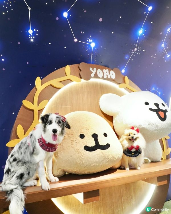 超可愛線條狗佈置