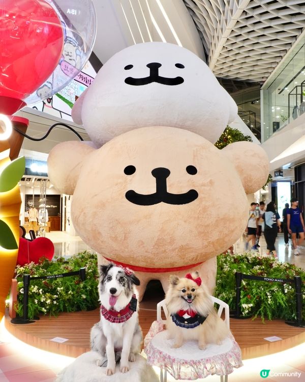 超可愛線條狗佈置