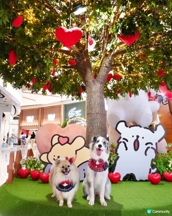 超可愛線條狗佈置