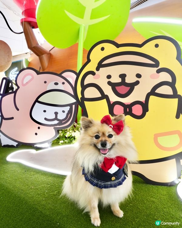 超可愛線條狗佈置