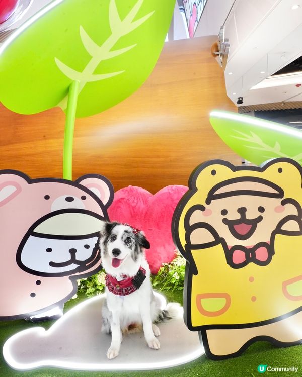超可愛線條狗佈置