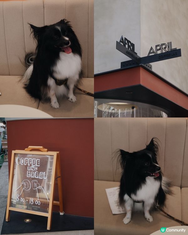 西營盤燈紅色啡店｜APRIL Coffee Lab 🐶 