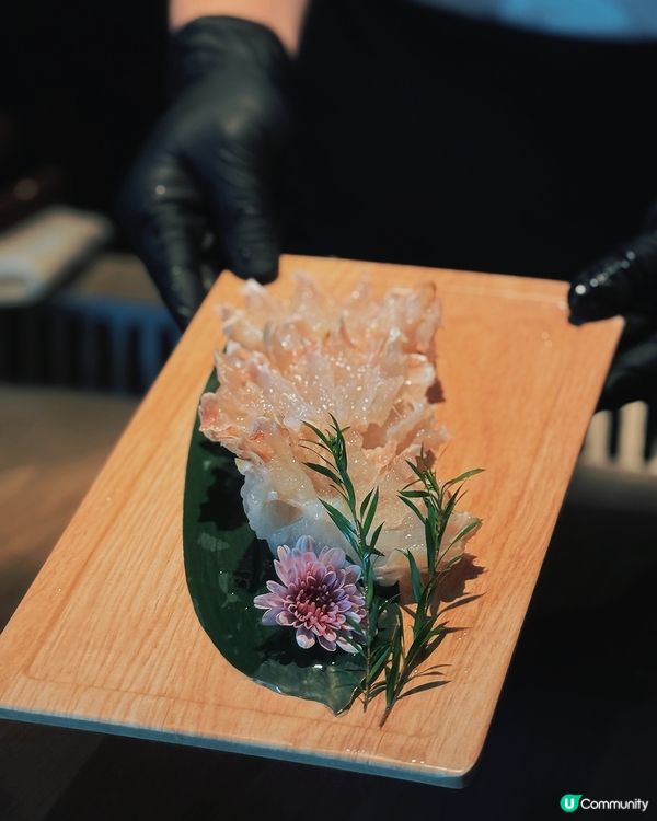 鐵板燒新店！🦀蟹の盛宴！🤤