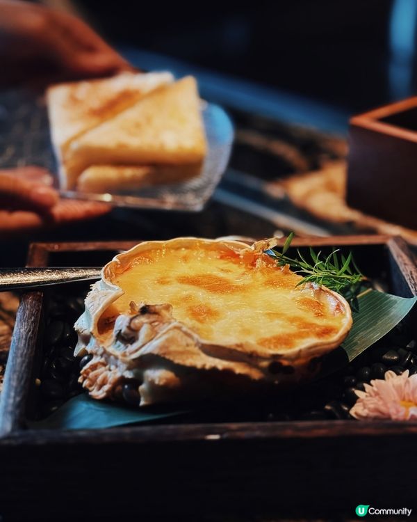 鐵板燒新店！🦀蟹の盛宴！🤤