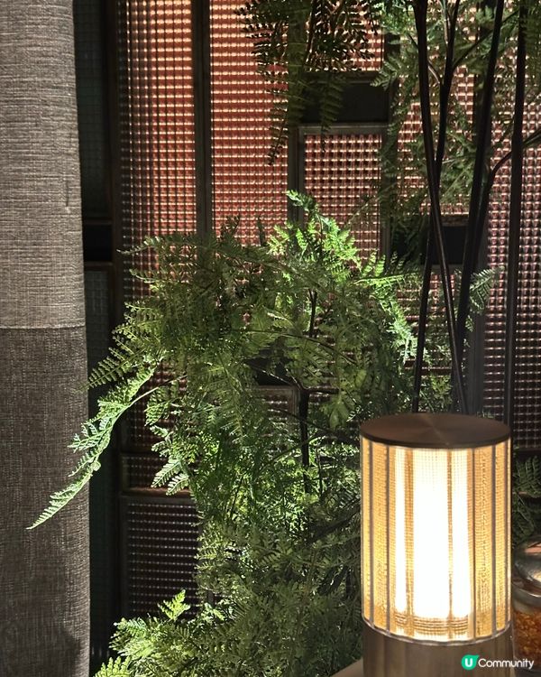 米芝蓮一星⭐️夜上海懷舊之旅！😋 