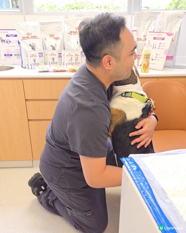東區24小時動物醫院