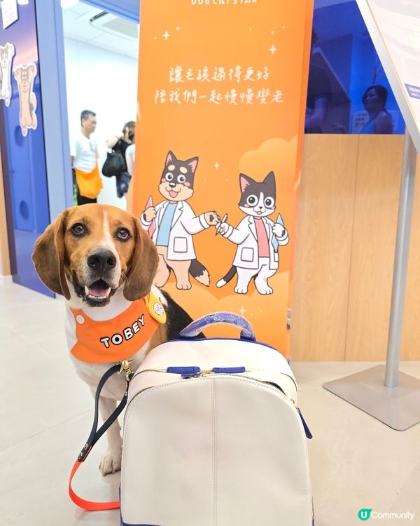 東區24小時動物醫院