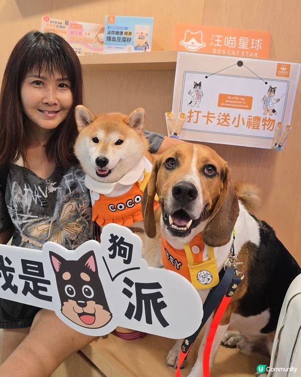 東區24小時動物醫院