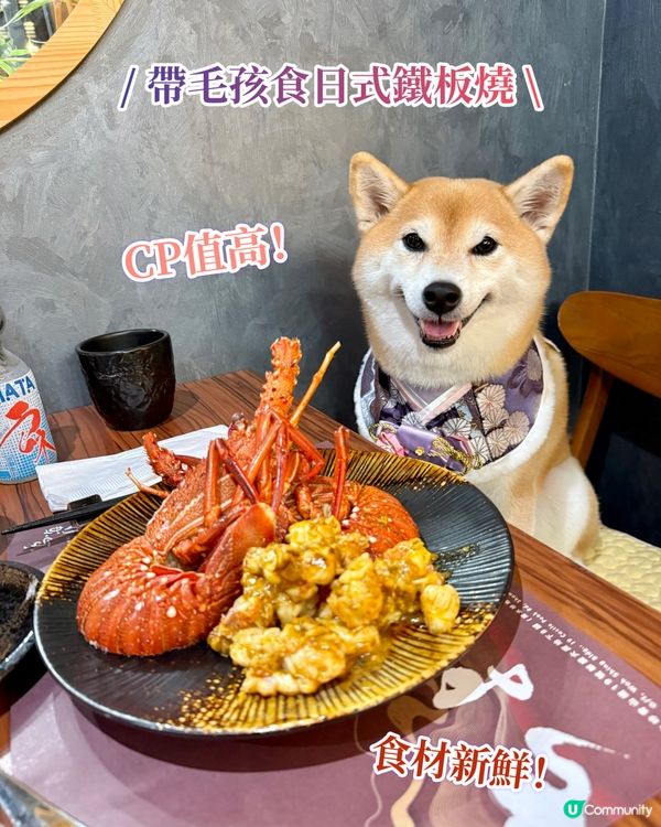 / 帶毛孩食日式鐵板燒 \