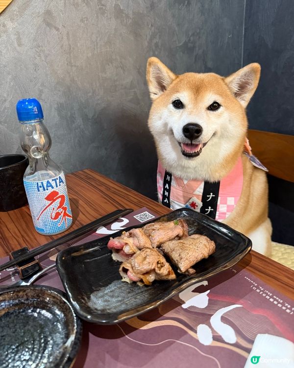 / 帶毛孩食日式鐵板燒 \