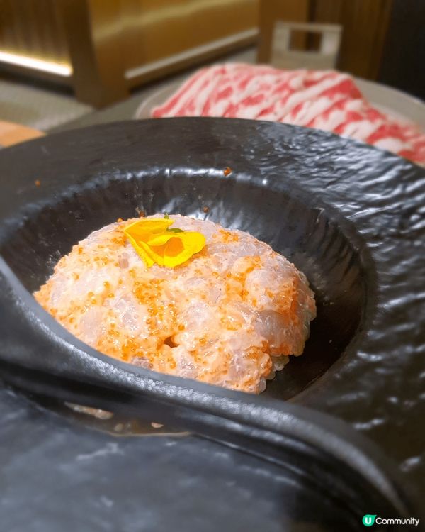 【香港搵食🍴】鳳園雞煲火鍋