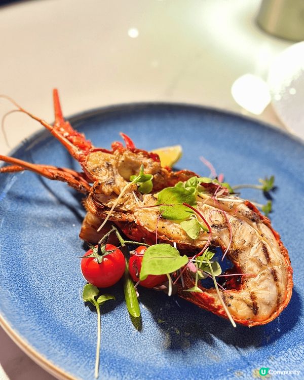 【浪漫星空餐廳生日慶典】💕尖沙咀必試高質打卡盛宴  