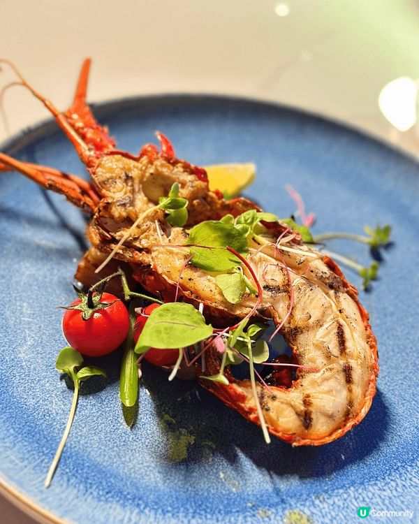 【浪漫星空餐廳生日慶典】💕尖沙咀必試高質打卡盛宴  