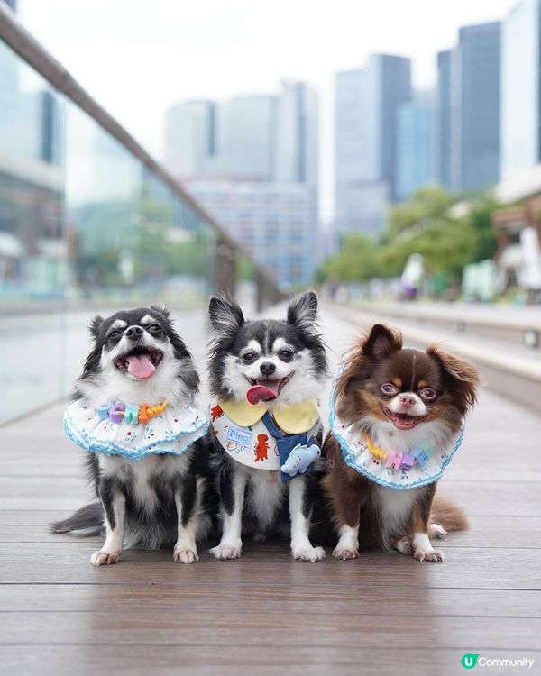 假日的小確幸💕