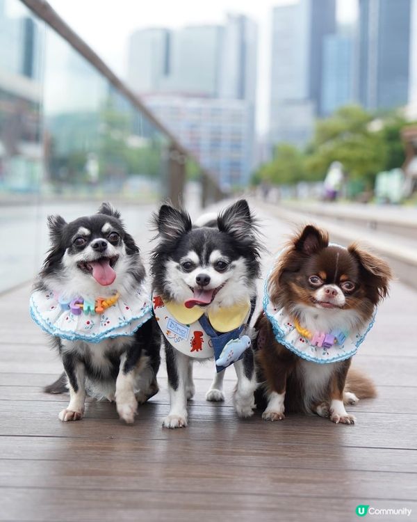 假日的小確幸💕