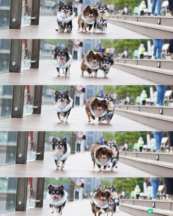 假日的小確幸💕