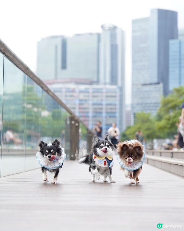 假日的小確幸💕